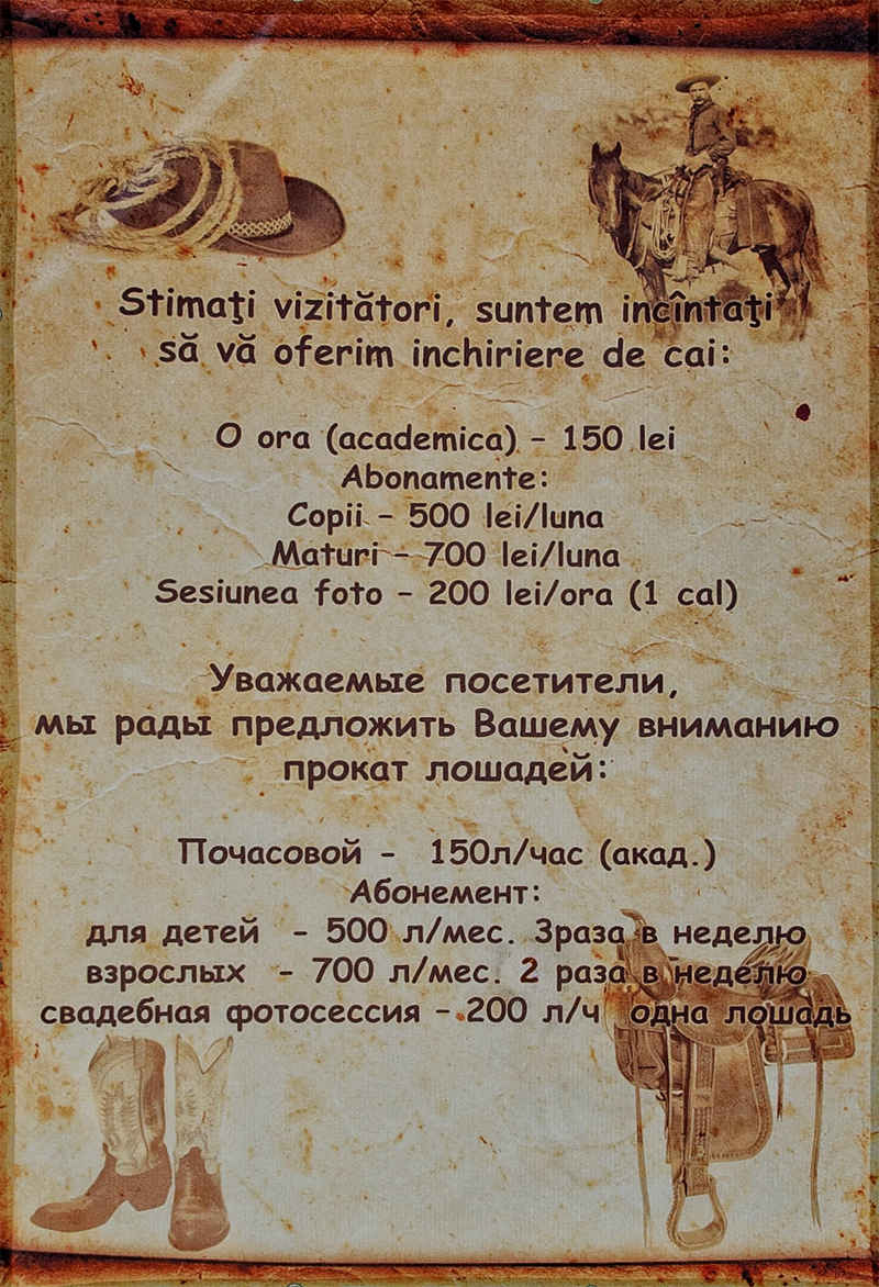 Родился пони